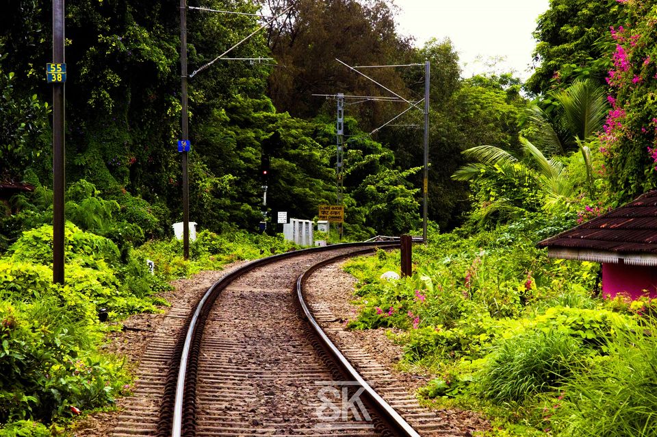 Photo of Kerala Diaries-> Alleppey - Kumarakom 5/41 by Shivang Kapoor