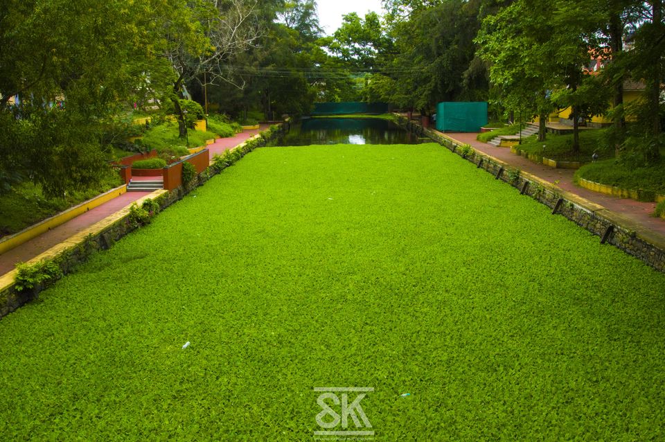 Photo of Kerala Diaries-> Alleppey - Kumarakom 11/41 by Shivang Kapoor