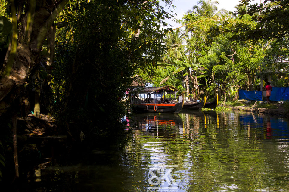 Photo of Kerala Diaries-> Alleppey - Kumarakom 24/41 by Shivang Kapoor