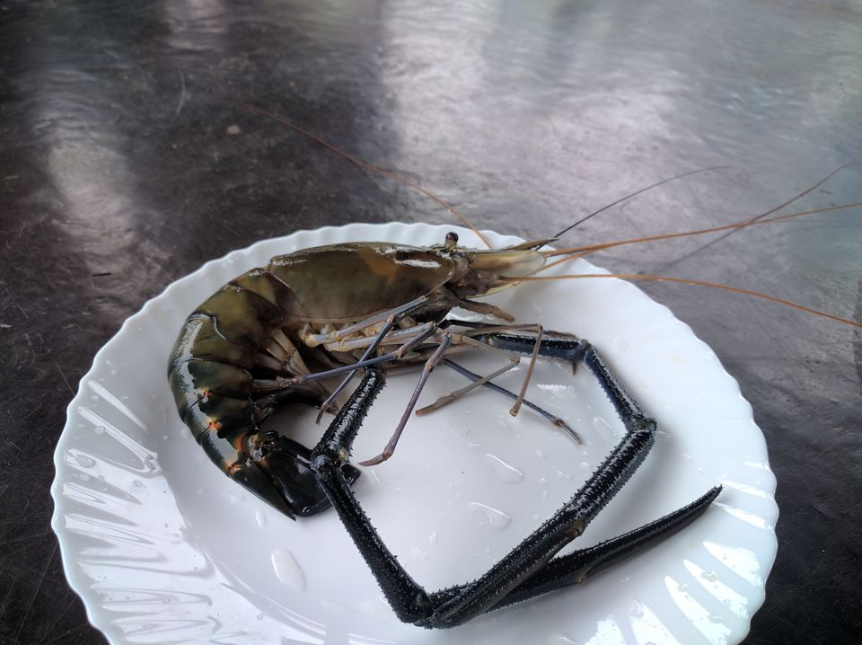 Photo of Kerala Diaries-> Alleppey - Kumarakom 32/41 by Shivang Kapoor