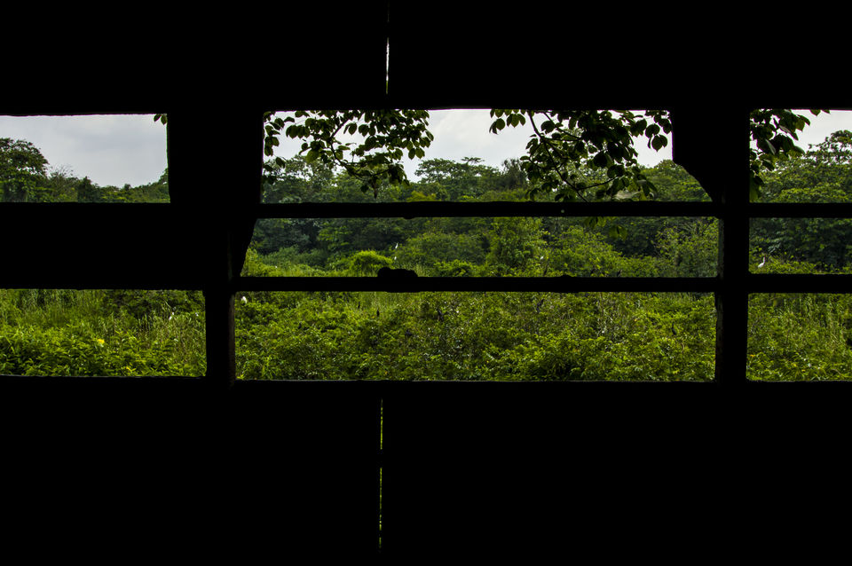 Photo of Kerala Diaries-> Alleppey - Kumarakom 37/41 by Shivang Kapoor