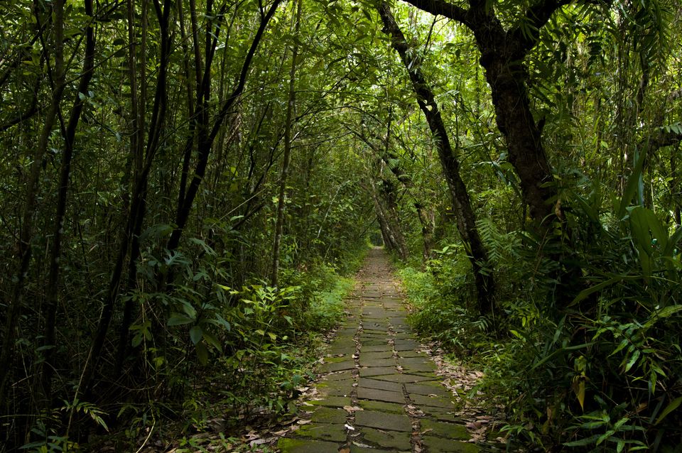 Photo of Kerala Diaries-> Alleppey - Kumarakom 39/41 by Shivang Kapoor