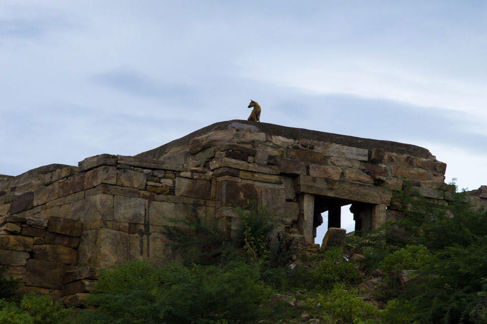 Photo of Solo Road Trip- Bangalore to India's Grand Canyon and Longest cave in Indian Subcontinent 10/26 by Shivang Kapoor