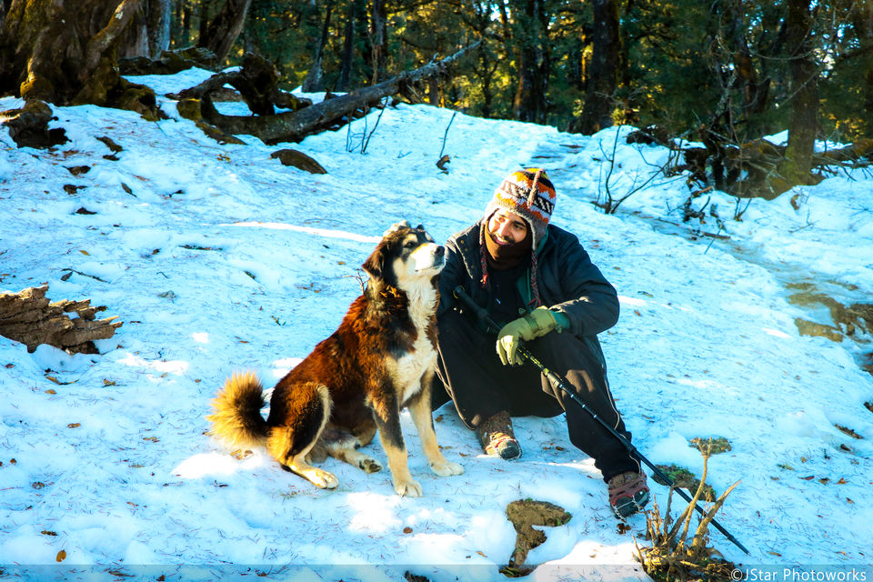 Photo of Sankri, Uttarakhand, India by Shivang Kapoor