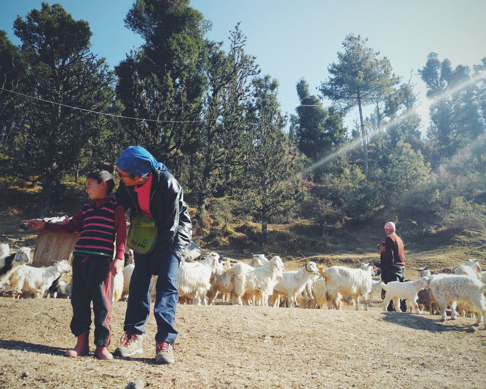 Photo of First High Altitude trek to Kedarkantha (12,500 feet) by IndiaHikes by Shivang Kapoor