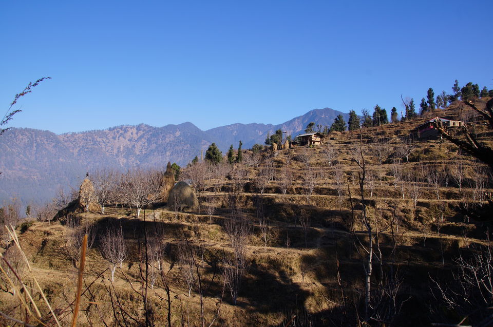 Photo of First High Altitude trek to Kedarkantha (12,500 feet) by IndiaHikes by Shivang Kapoor