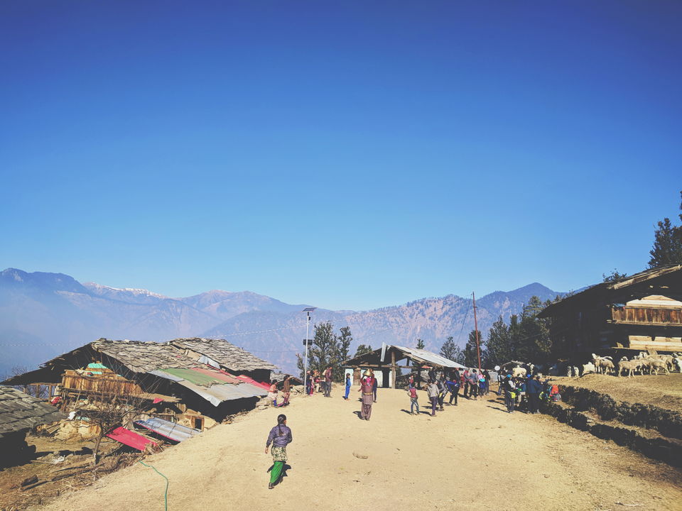 Photo of First High Altitude trek to Kedarkantha (12,500 feet) by IndiaHikes by Shivang Kapoor