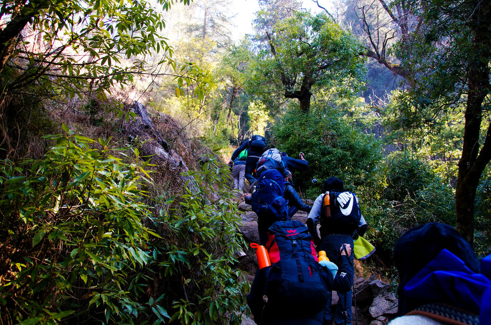 Photo of First High Altitude trek to Kedarkantha (12,500 feet) by IndiaHikes by Shivang Kapoor