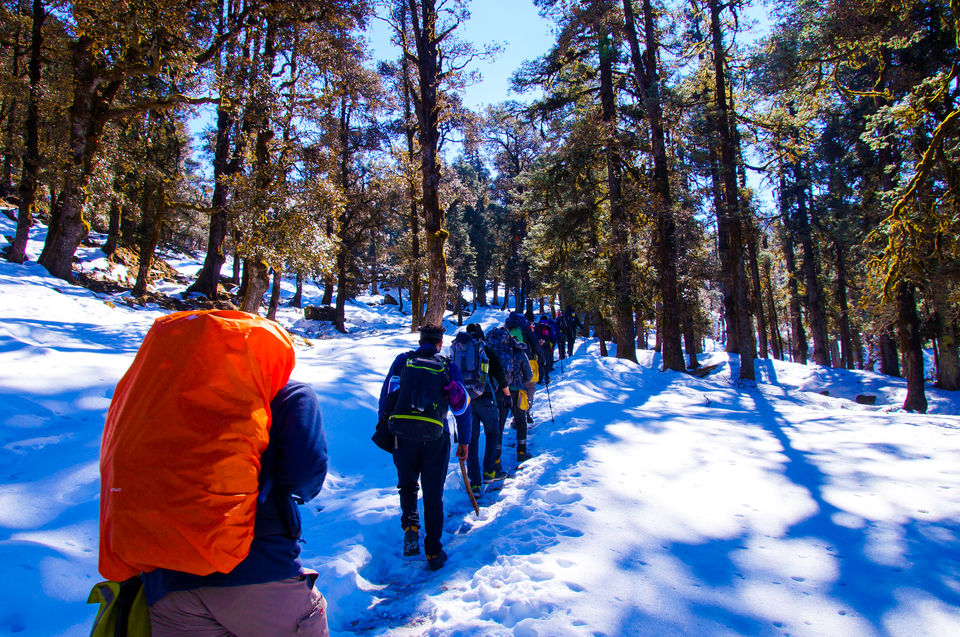 Photo of First High Altitude trek to Kedarkantha (12,500 feet) by IndiaHikes by Shivang Kapoor