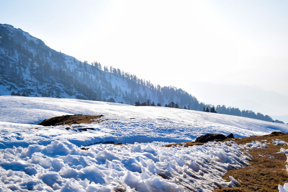 Photo of First High Altitude trek to Kedarkantha (12,500 feet) by IndiaHikes by Shivang Kapoor