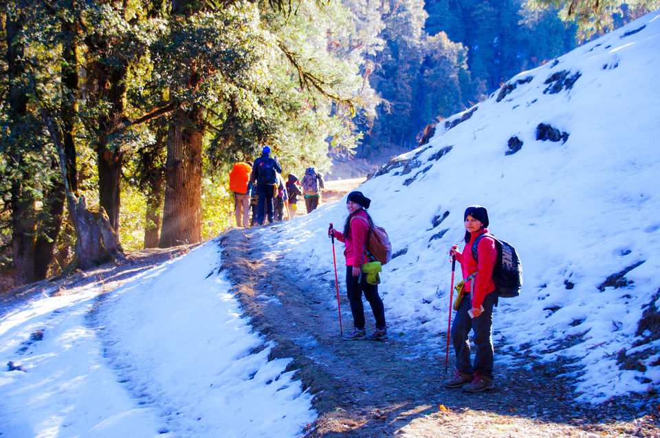 Photo of First High Altitude trek to Kedarkantha (12,500 feet) by IndiaHikes by Shivang Kapoor