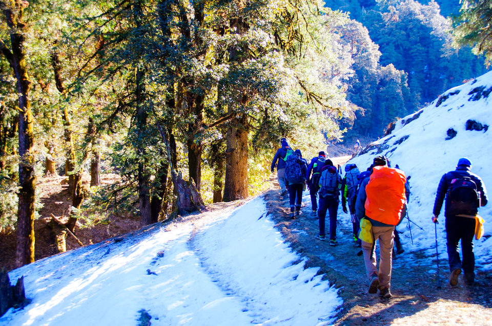 Photo of First High Altitude trek to Kedarkantha (12,500 feet) by IndiaHikes by Shivang Kapoor