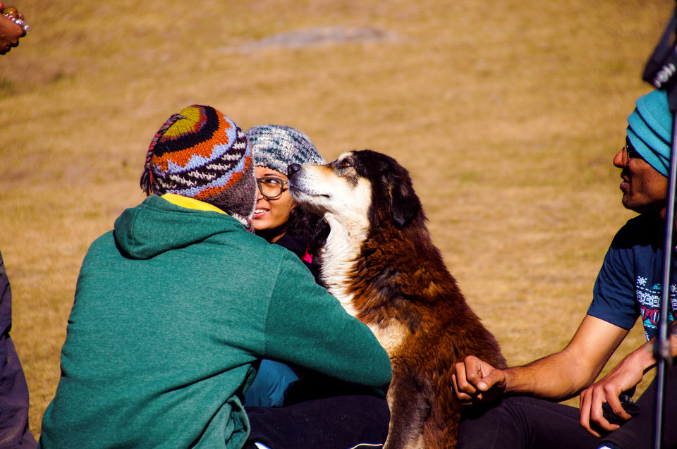 Photo of First High Altitude trek to Kedarkantha (12,500 feet) by IndiaHikes by Shivang Kapoor
