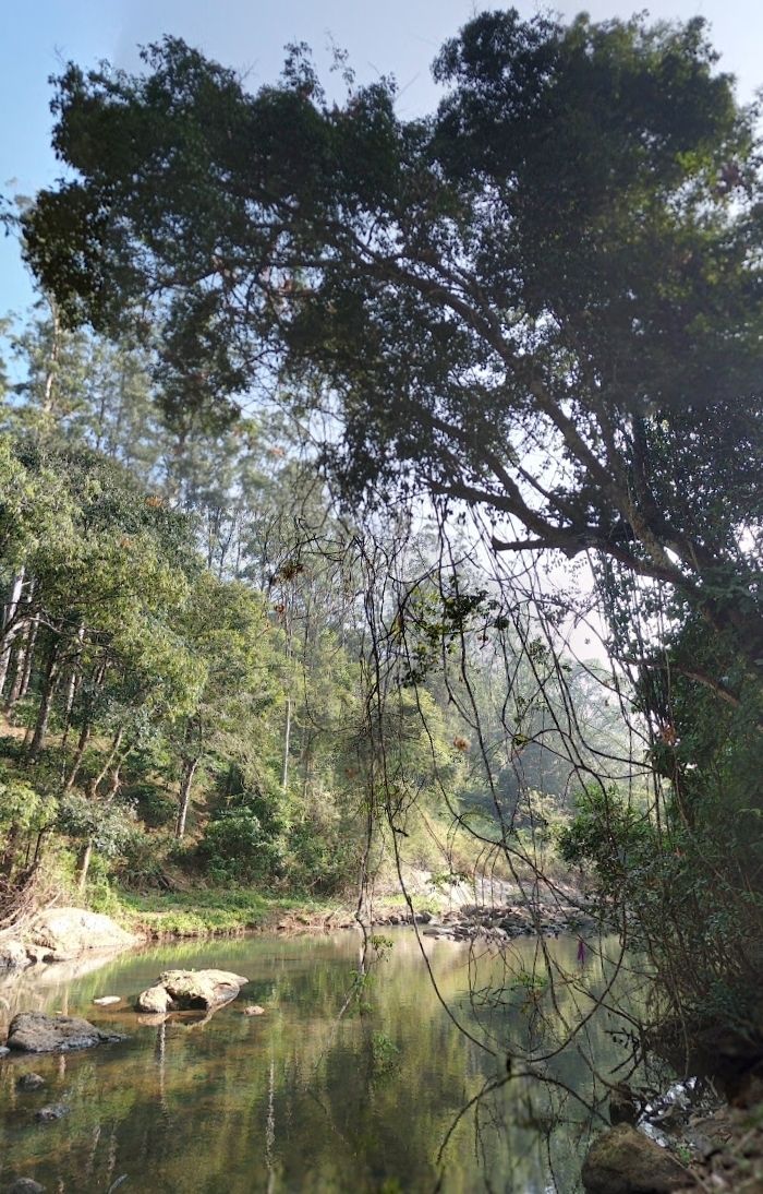 Photo of Nelliyampathy by Ershad PopZeins