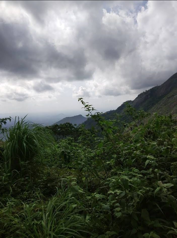 Photo of Nelliyampathy by Ershad PopZeins