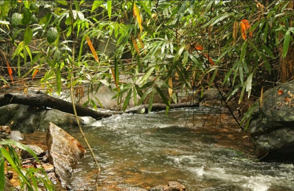 Photo of Ponmudi by Ershad PopZeins