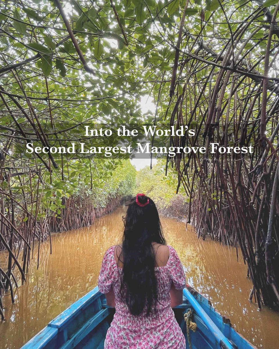Photo of World's Second Largest Mangrove Forest- Pichavaram - A Day Trip From Chennai by ZoomingPlaces