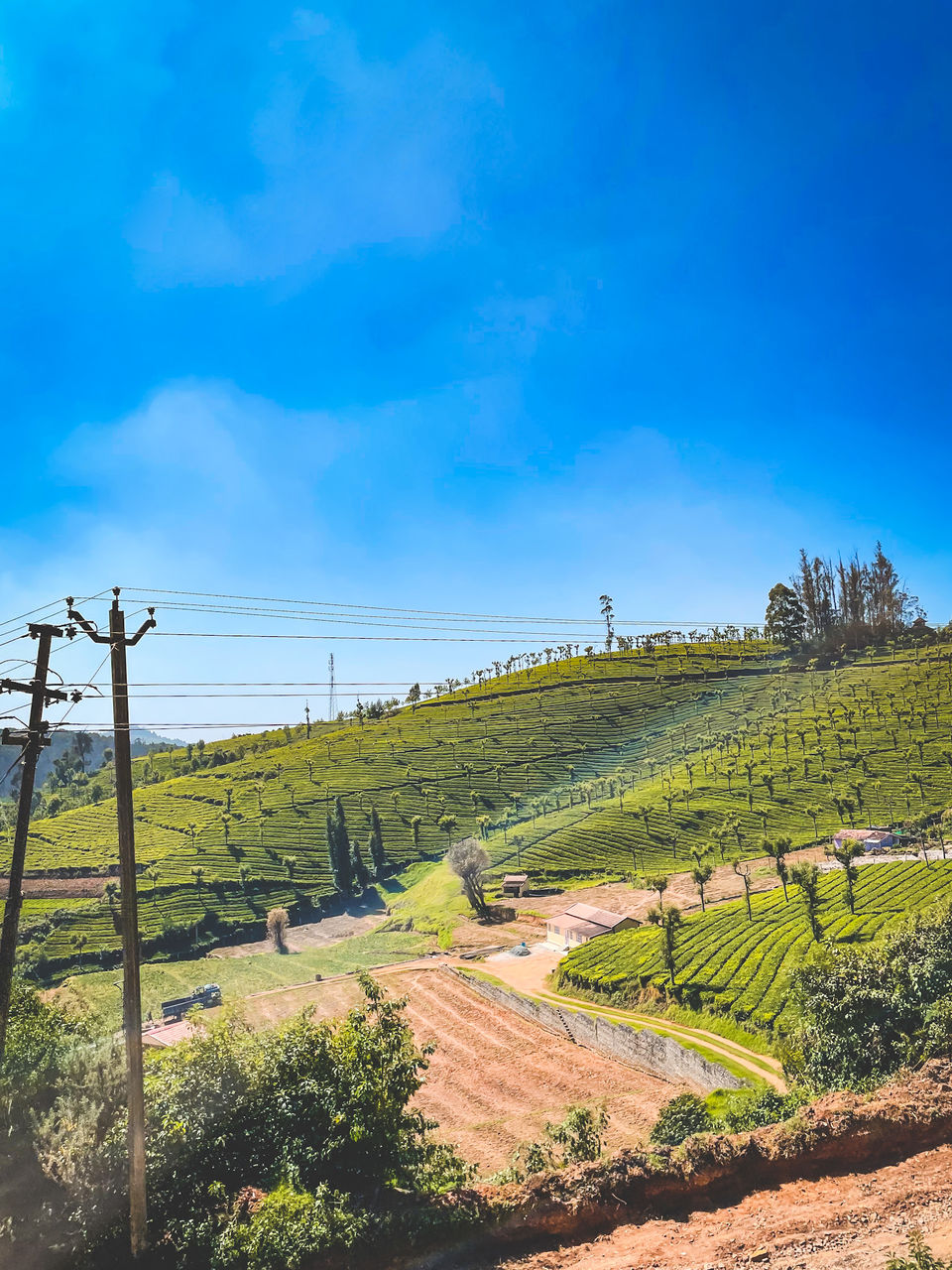 Photo of Chennai to Ooty- an Unforgettable Nilgiris Road Trip 2/15 by ZoomingPlaces