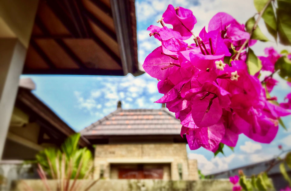 Photo of Dura Villas Bali, Kerobokan, Badung Regency, Bali, Indonesia by Peas in a pod