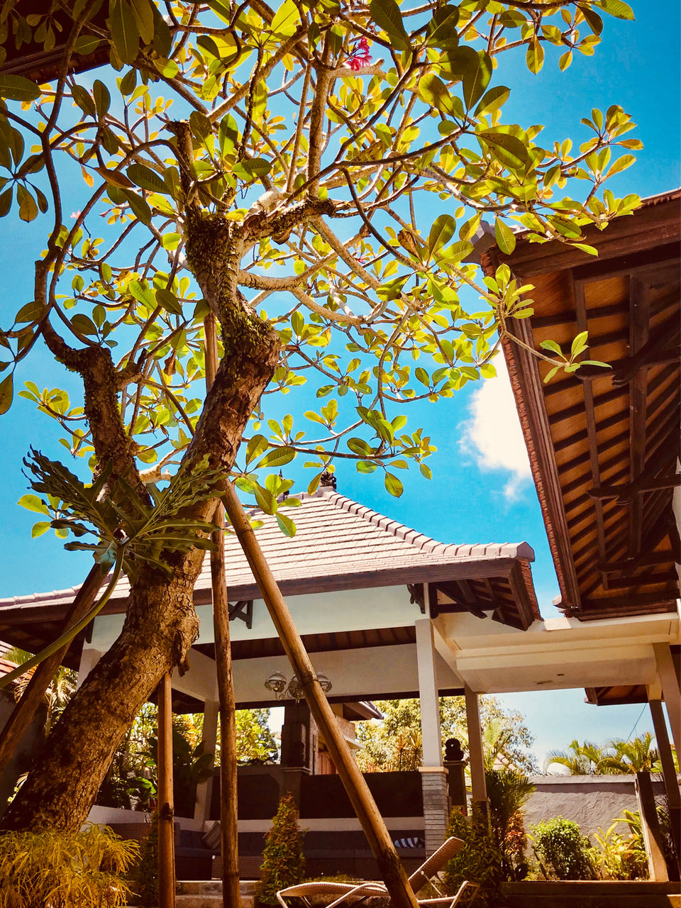 Photo of Dura Villas Bali, Kerobokan, Badung Regency, Bali, Indonesia by Peas in a pod