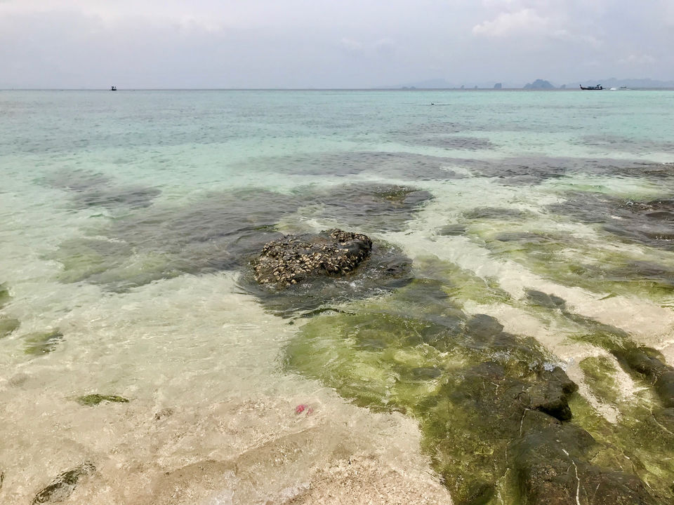 Photo of Phi phi island by Peas in a pod