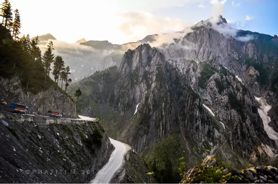 Photo of Zojila Pass, Forest Block by Pratiti Majumdar