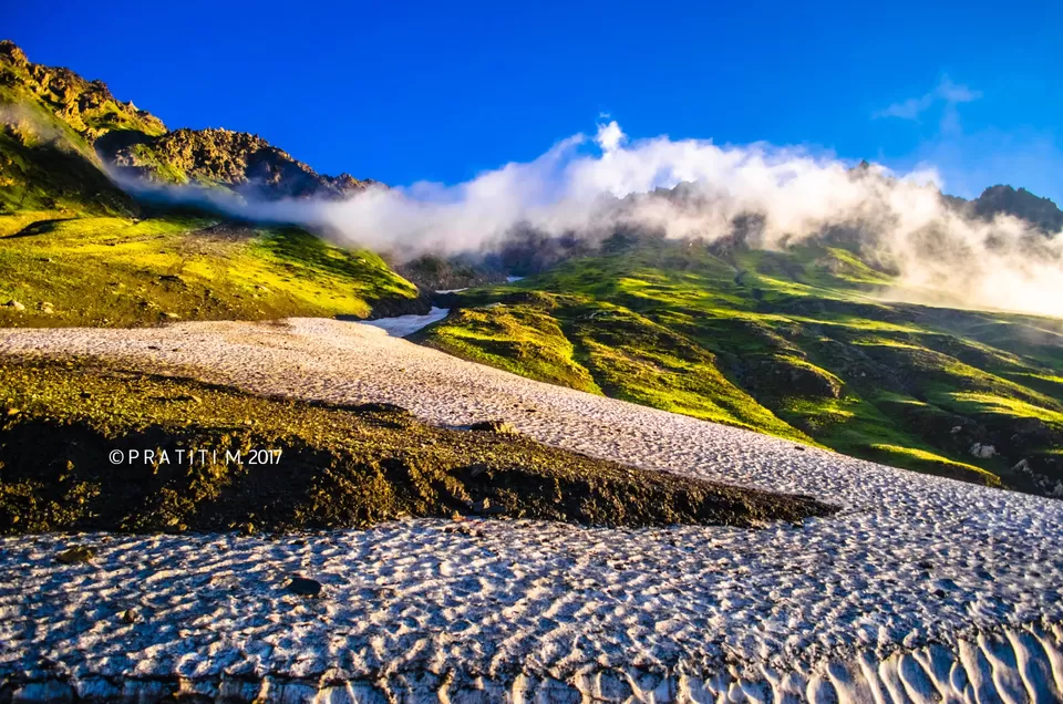 Photo of Zojila Pass, Forest Block by Pratiti Majumdar