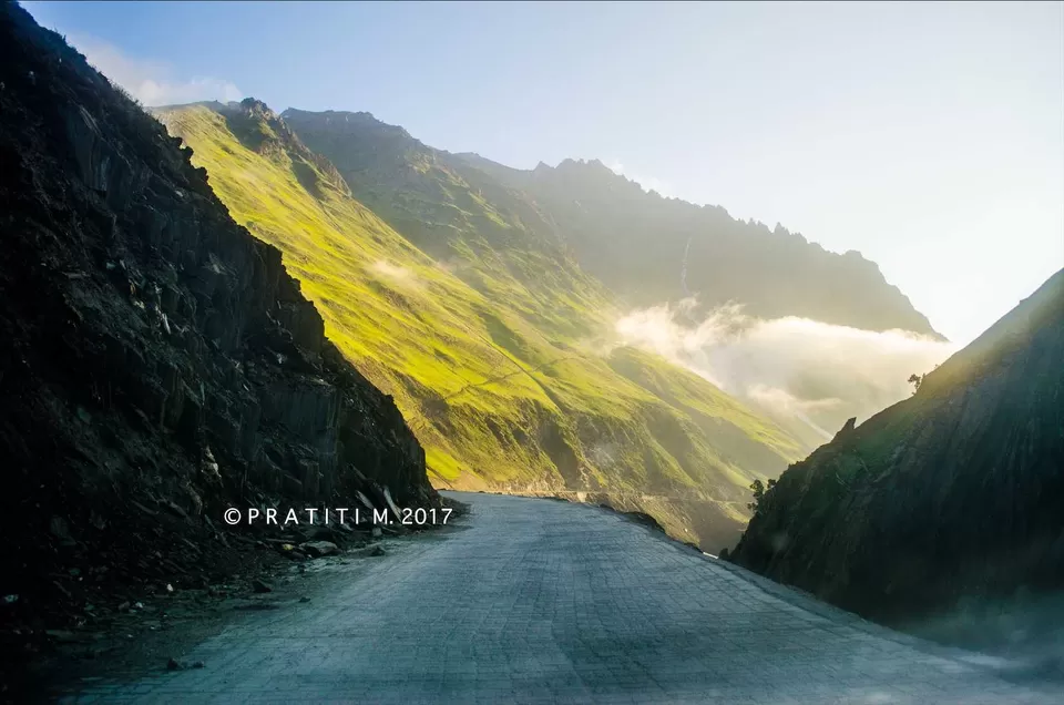 Photo of Zojila Pass, Forest Block by Pratiti Majumdar