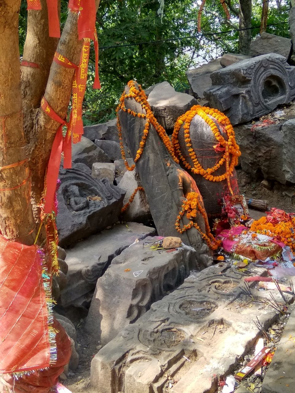 Photo of रक्तहीन बलि देवी को पसंद है ! by Amit Lokpriya
