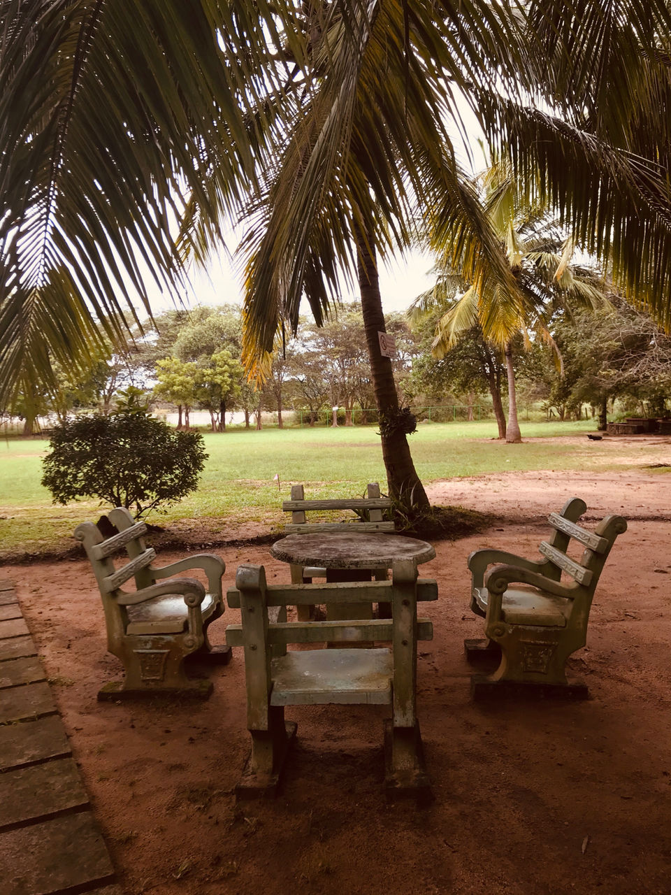 Photo of Dambulla by Pooja Joshi
