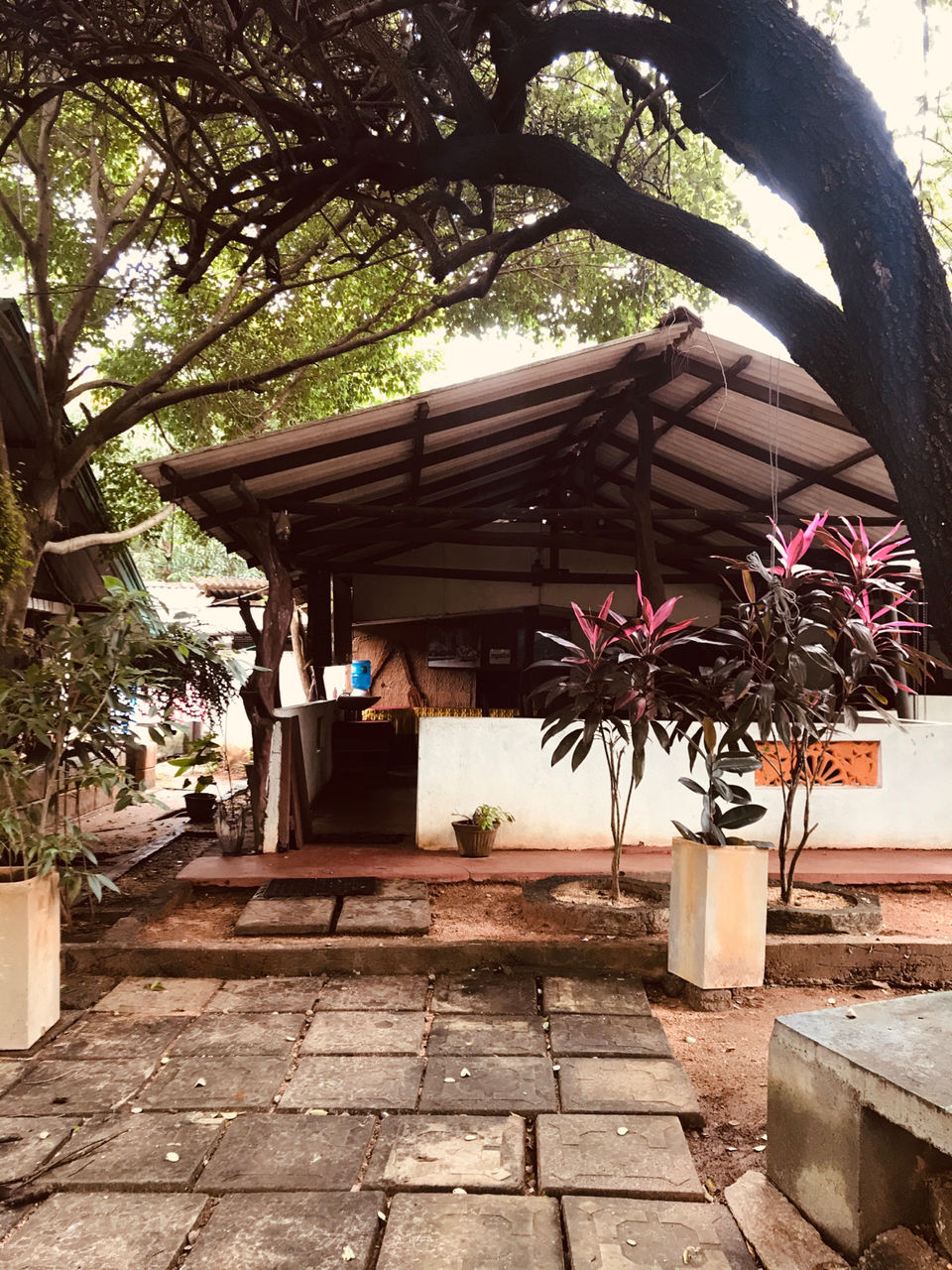 Photo of Dambulla by Pooja Joshi