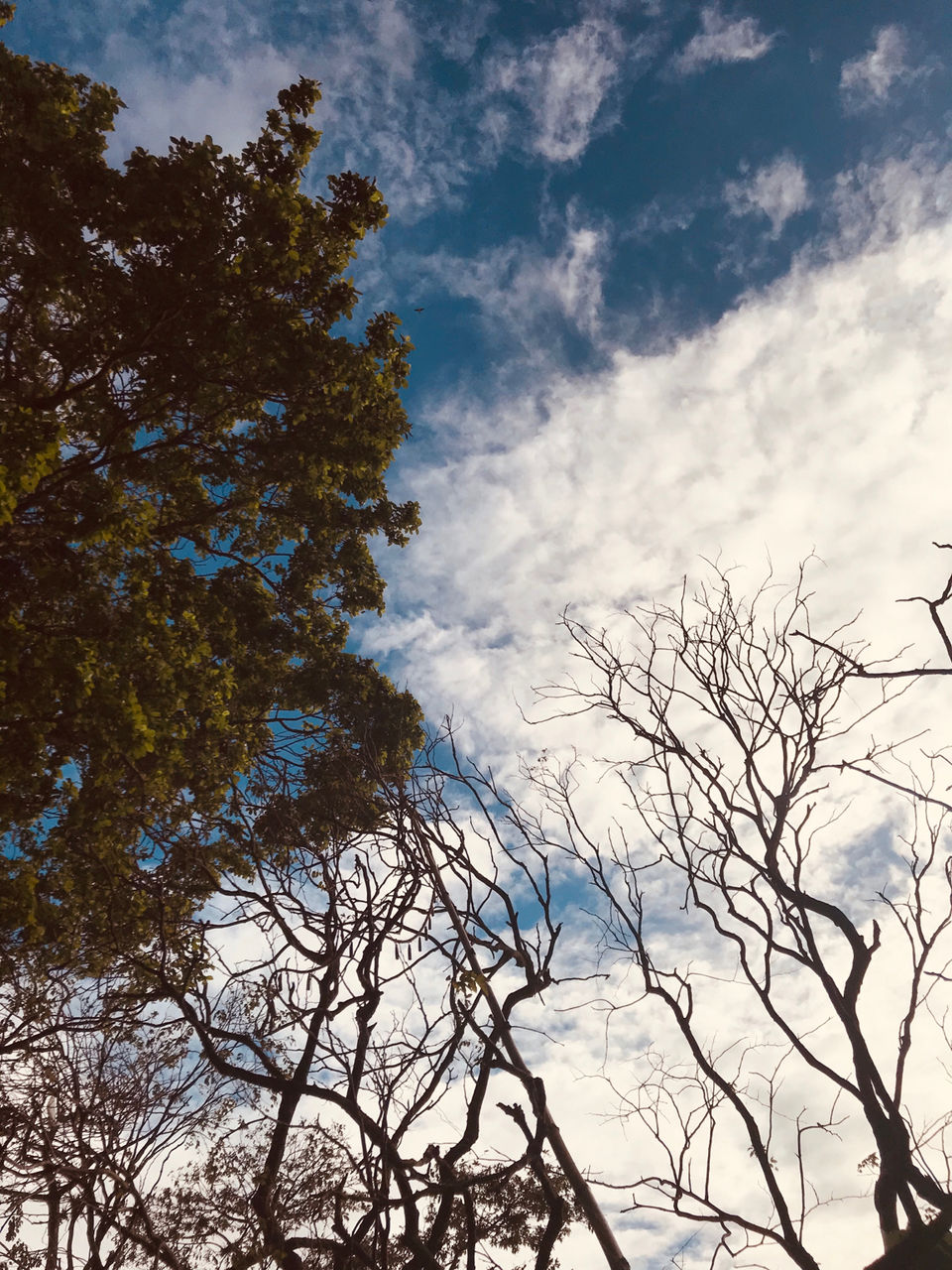 Photo of Dambulla by Pooja Joshi