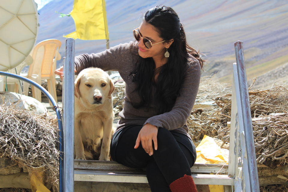 Photo of 8 Days, 11 strangers, 1 traveller - Spiti Valley Trip- An Out Of The World experience of a Lifetime by Pooja Joshi