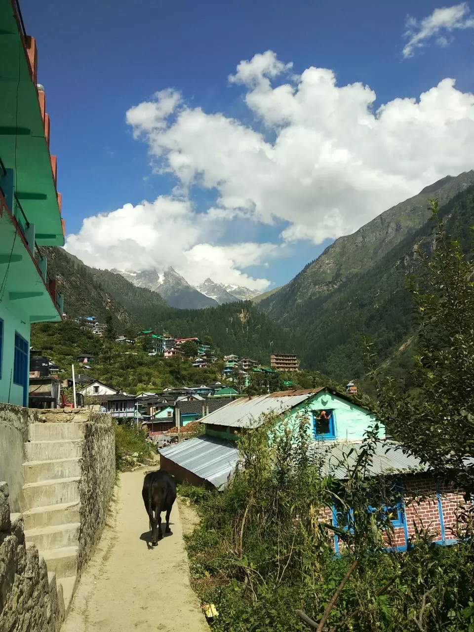 Photo of Kasol-Tosh, A tryst with nature!! by sonia