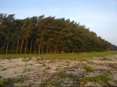 Photo of Karwar is the new Goa!! 10 things to do in Karwar 3/15 by spoorthi