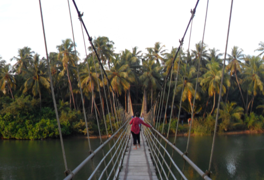 Photo of 10 Things to do in Varkala!! Varkala travel guide by spoorthi 