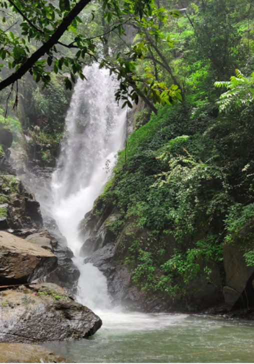 Photo of Ditch the beaches and check out Goa's top 10 waterfalls.!! 3/15 by spoorthi