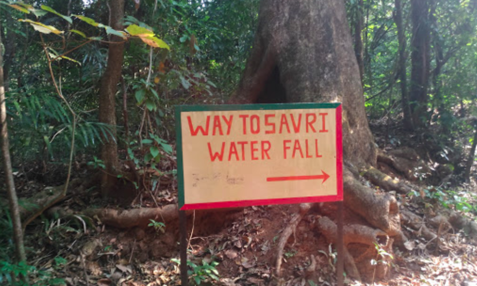 Photo of Ditch the beaches and check out Goa's top 10 waterfalls.!! 4/15 by spoorthi