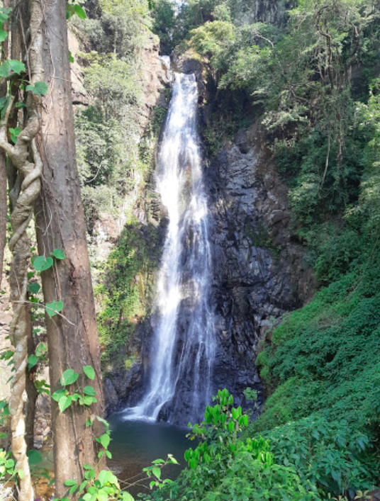 Photo of Ditch the beaches and check out Goa's top 10 waterfalls.!! 5/15 by spoorthi