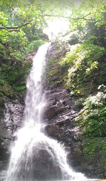 Photo of Ditch the beaches and check out Goa's top 10 waterfalls.!! 15/15 by spoorthi