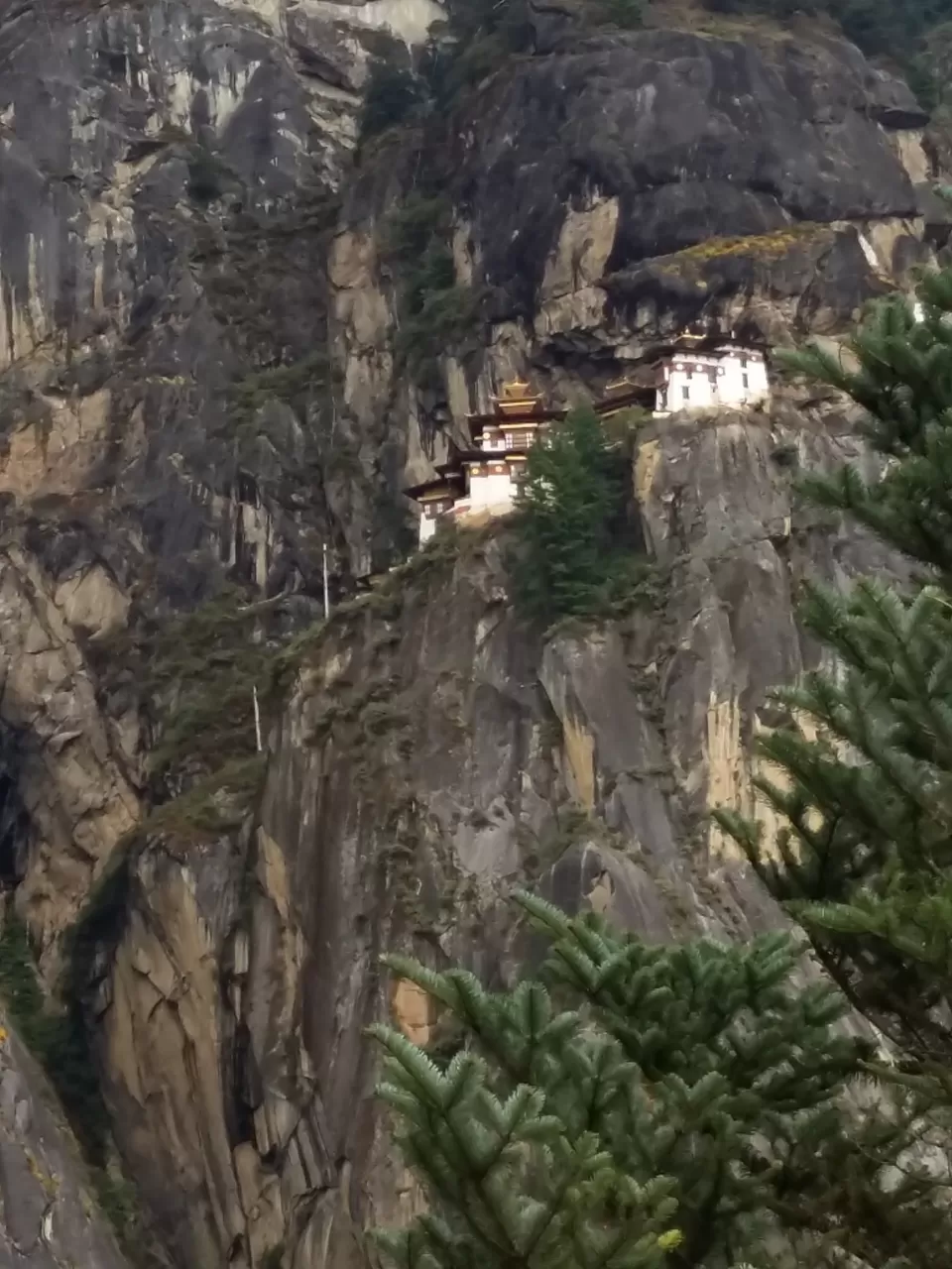 Photo of Bhutan - your answer to your 'Fernweh'! by Hetika Shah