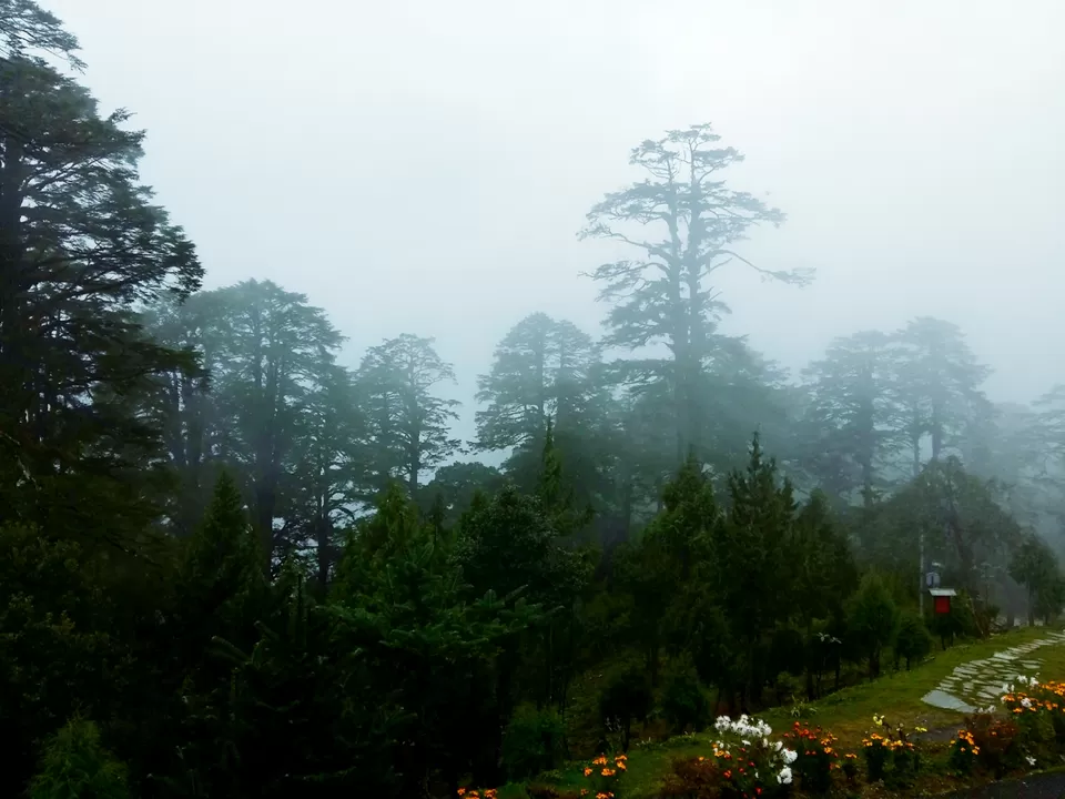 Photo of Bhutan - your answer to your 'Fernweh'! by Hetika Shah