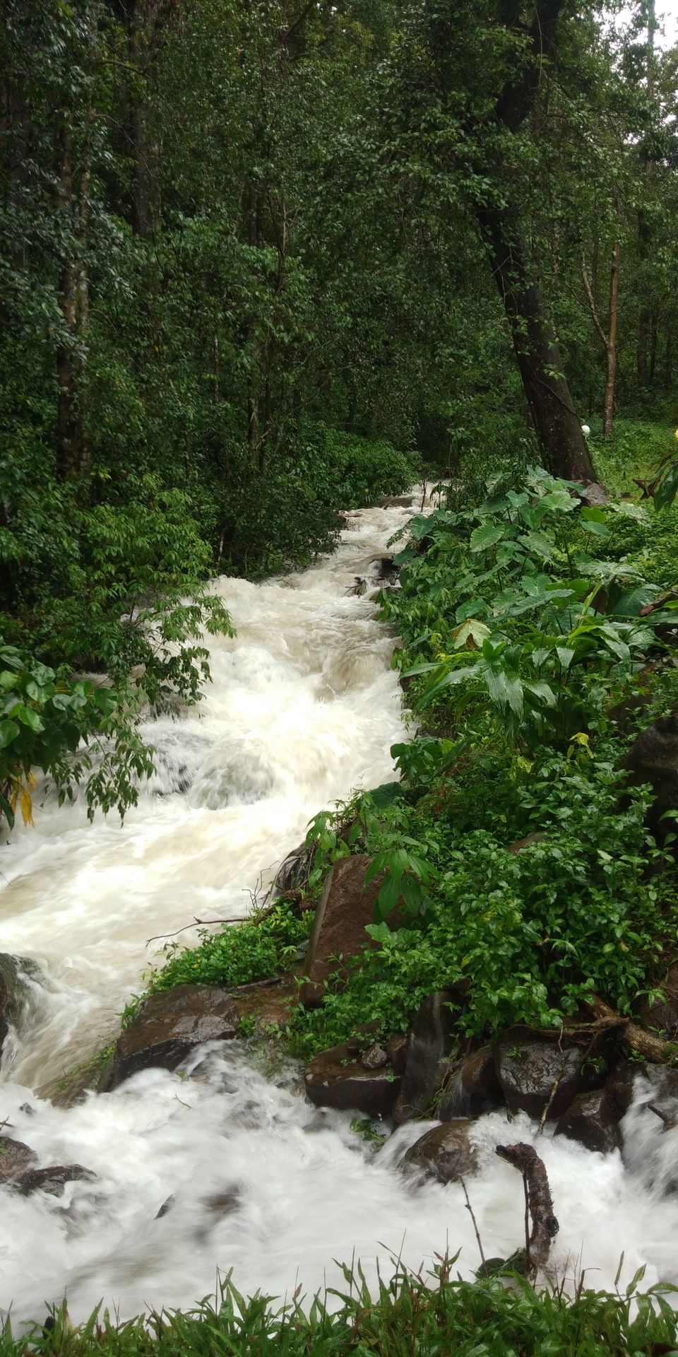 Photo of Ayatana Coorg, Mallalli Water Falls Road, Kumarahalli, Karnataka, India by Rakesh Solur