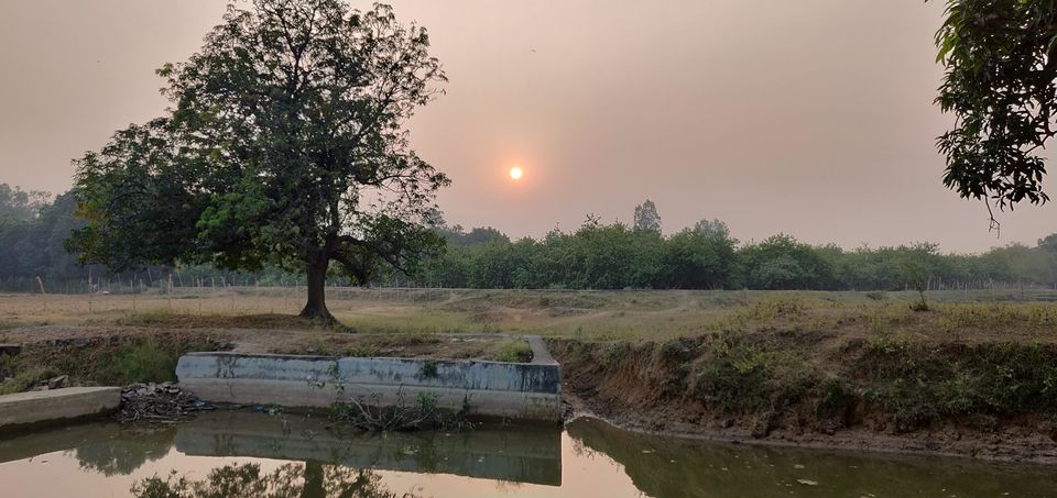 Photo of चित्रकूट जिला में छुपा अमरूद का जंगल by Shiv Singh