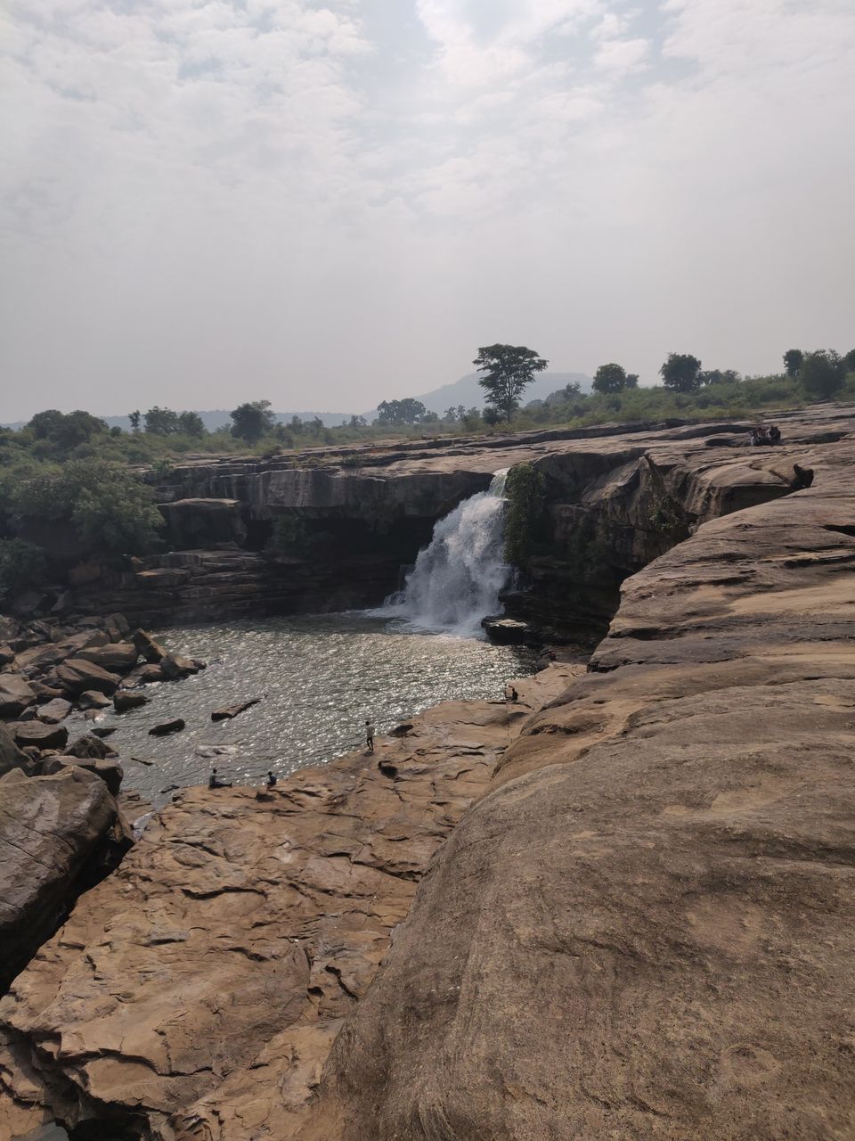 Photo of चित्रकूट जिला में छुपा अमरूद का जंगल by Shiv Singh