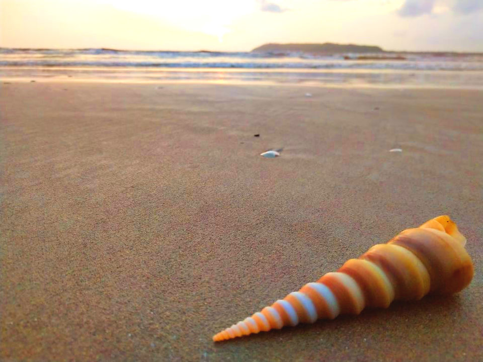 Photo of Miramar Beach, Panaji, Goa by Family On Wheels
