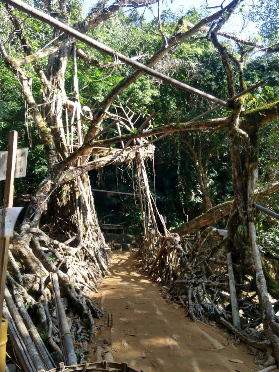 Photo of Meghalaya II ( Around Shillong ) by Family On Wheels