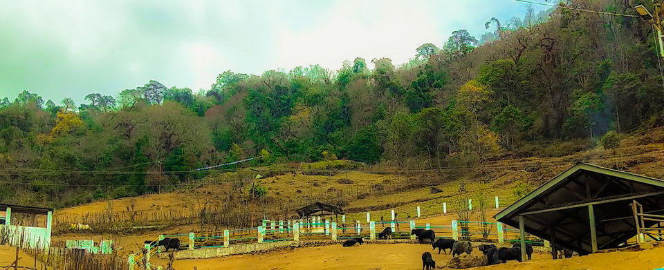 Photo of Nyukmadung by Family On Wheels