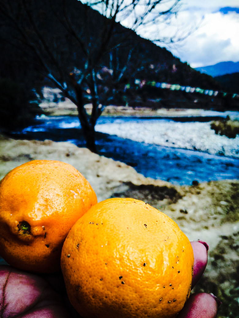 Photo of Tawang by Family On Wheels