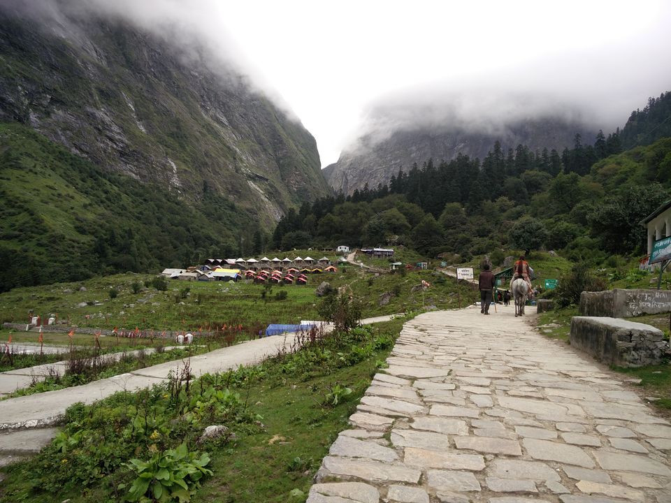Photo of Hemkund Sahib and Valley of Flowers: Ideal Solo Trekking Destinations  5/14 by Baljinder Singh